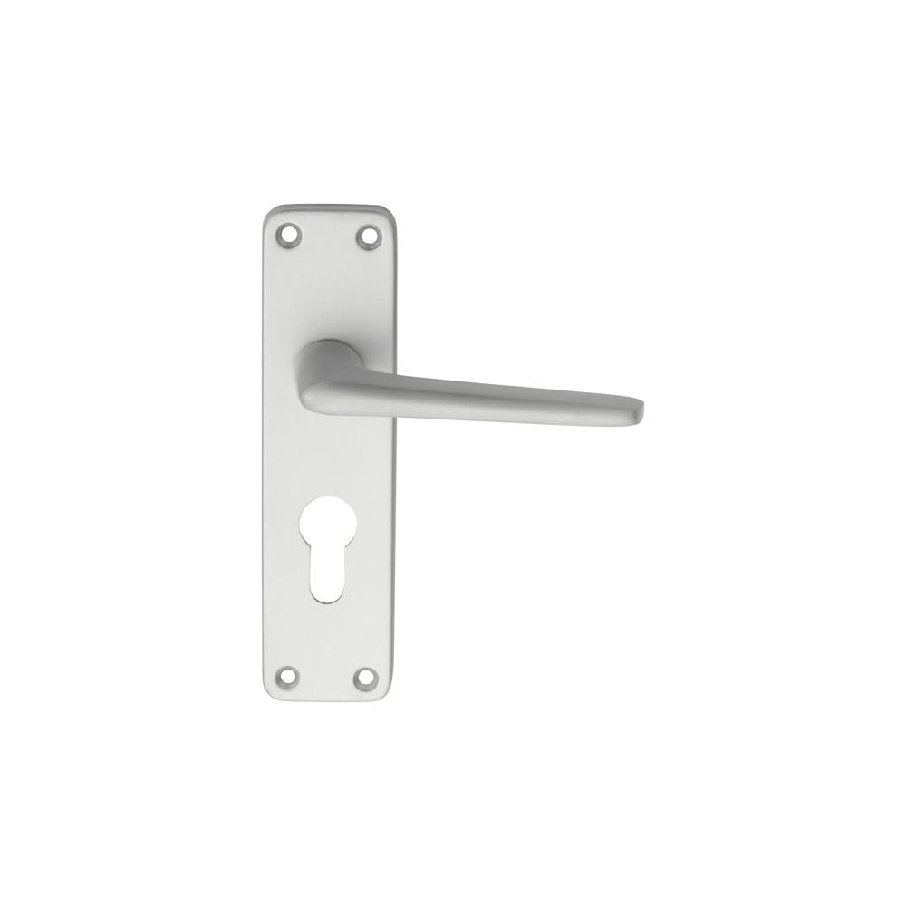 Carlisle Brass Aluminium Lever on Lock Backplate Euro Lock Blister Pack SAA21Y/BP