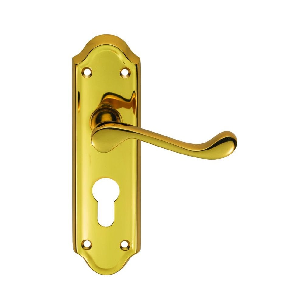 Carlisle Brass Polished Brass Euro Lock Boxed 168mmx48mm Ashtead Lever on Backplate DL17Y