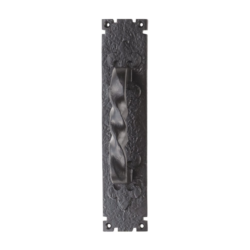 Carlisle Brass Barley Twist Pull Handle on Backplate LF5101