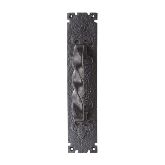 Carlisle Brass Barley Twist Pull Handle on Backplate LF5101