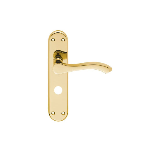 Carlisle Brass Electro Brassed Bathroom Ixion Lever on backplate SZM368EB/BP
