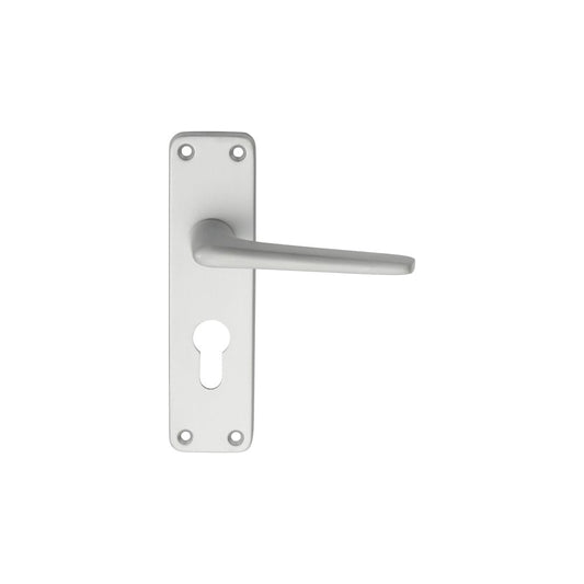 Carlisle Brass Euro Lock Boxed Aluminium Lever on Lock Backplate SAA21Y
