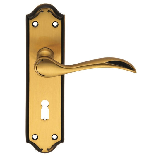 Carlisle Brass Florentine Bronze Lock Standard 180mmx45mm Backplate Madrid Lever on Backplate DL190FB