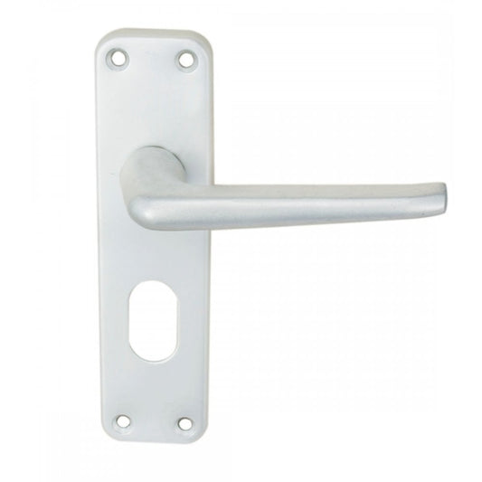 Carlisle Brass Oval profile Boxed Aluminium Lever on Lock Backplate SAA21U