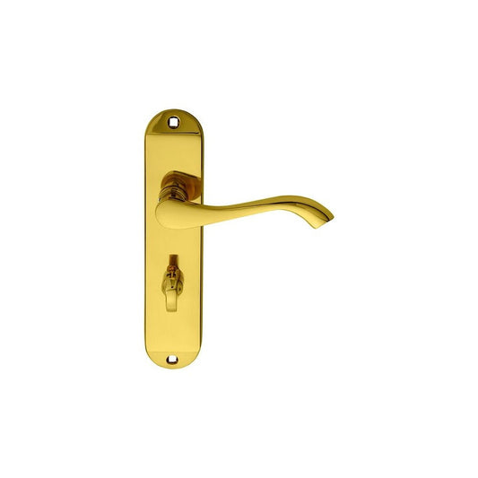 Carlisle Brass Polished Brass Bathroom 180mmx40mm Andros Lever on Backplate DL182