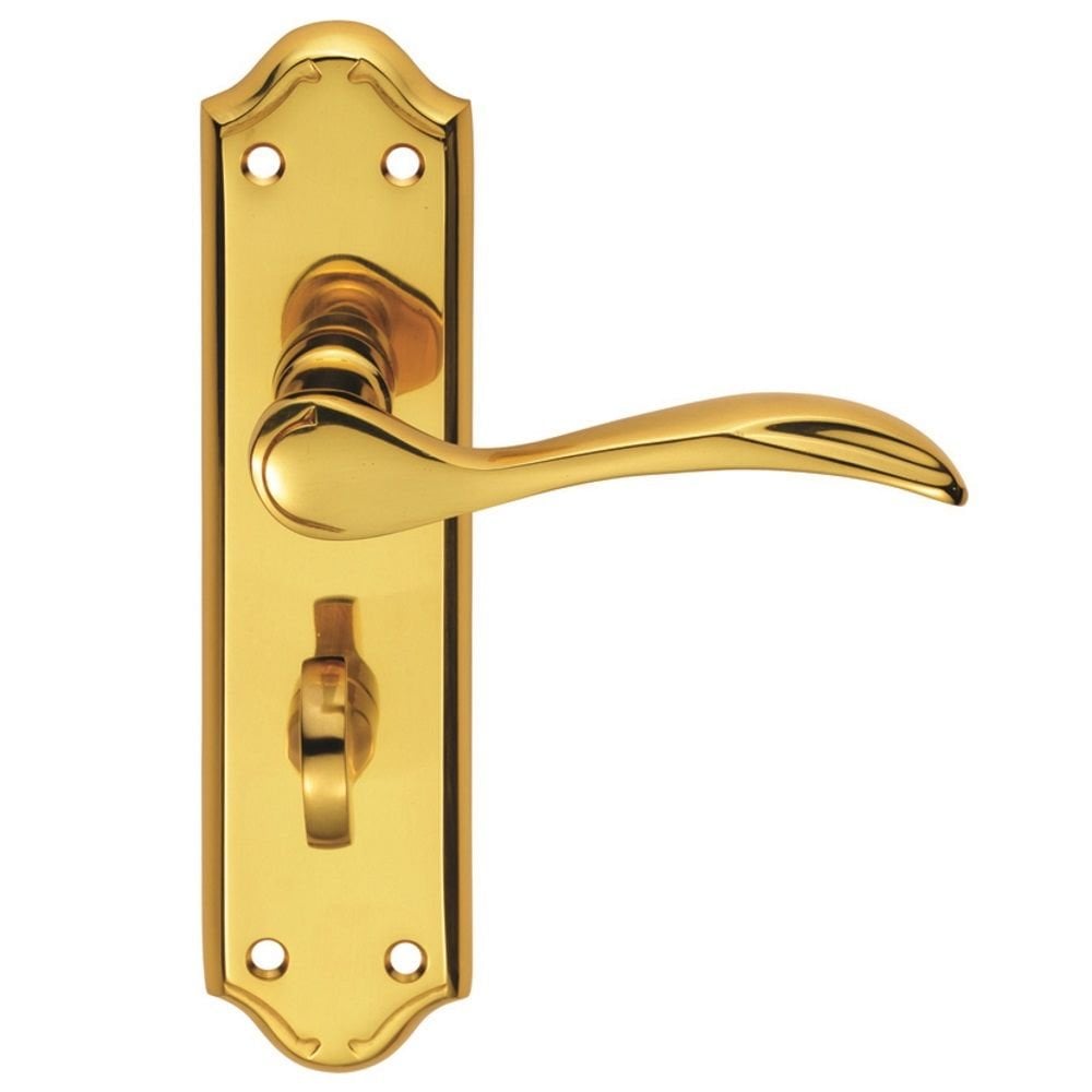 Carlisle Brass Polished Brass Bathroom 180mmx45mm Backplate Madrid Lever on Backplate DL192