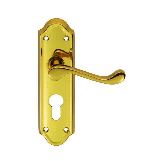Carlisle Brass Polished Brass Euro Lock Boxed 168mmx48mm Ashtead Lever on Backplate DL17Y