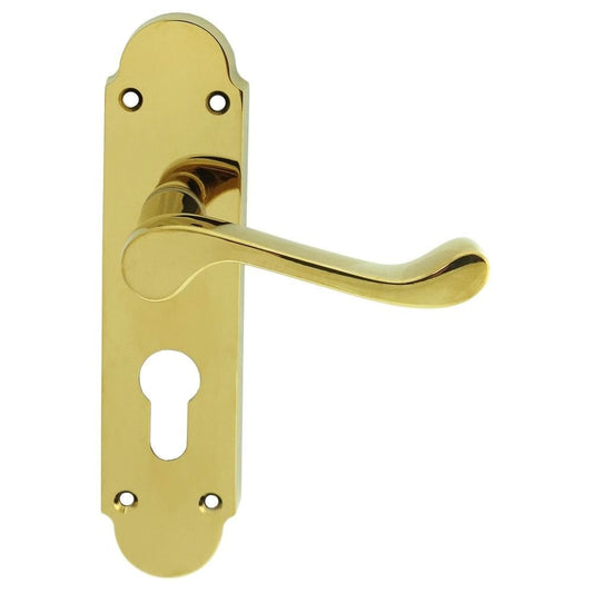 Carlisle Brass Polished Brass Euro Lock Boxed Oakley Lever on Backplate DL168Y
