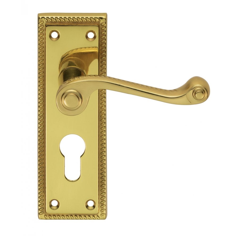 Carlisle Brass Polished Brass Euro Profile 150mmx48mm Georgian Lever on Backplate FG1Y