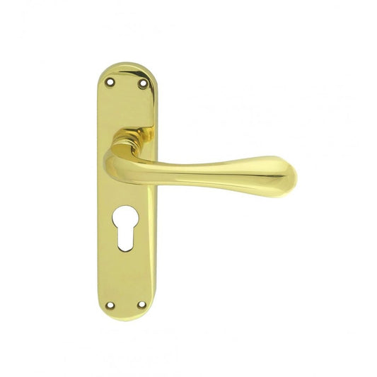 Carlisle Brass Polished Brass Euro Profile 185mmx42mm, 47.5mm Centres Astro Lever on Backplate EL21Y