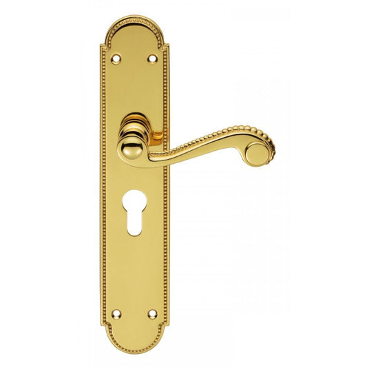 Carlisle Brass Polished Brass Euro Profile Chesham Lever on Backplate 249mmx50mm Backplate 47.5mm Centre DL271Y