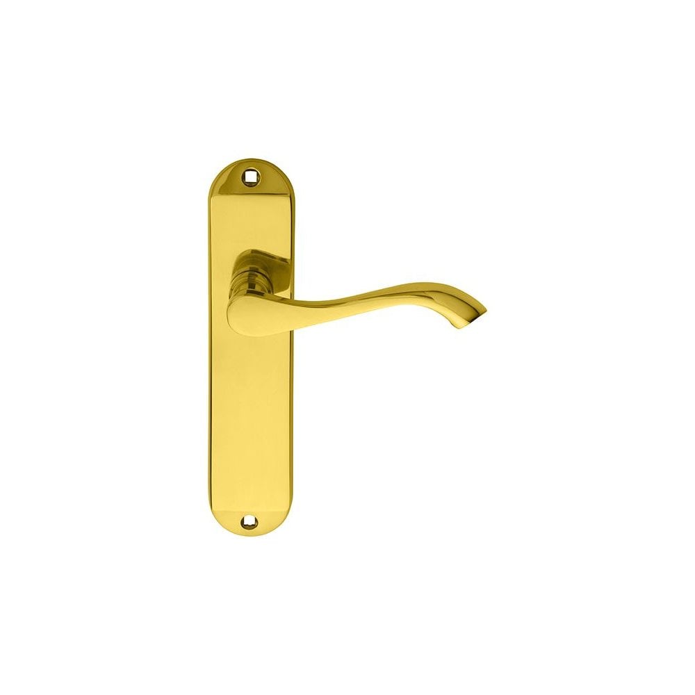 Carlisle Brass Polished Brass Latch 180mmx40mm Andros Lever on Backplate DL181