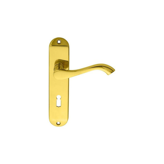 Carlisle Brass Polished Brass Lock Profile 180mmx40mm Andros Lever on Backplate DL180