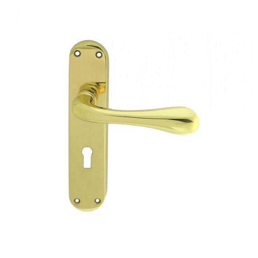 Carlisle Brass Polished Brass Lock Profile 185mmx42mm Astro Lever on Backplate EL21