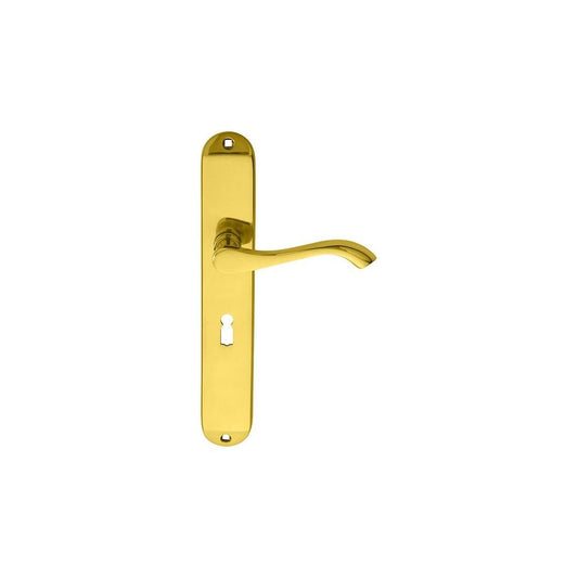 Carlisle Brass Polished Brass Lock Profile 240mmx40mm Andros Lever on Backplate DL380