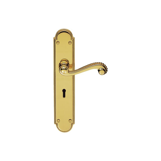 Carlisle Brass Polished Brass Lock Profile 248mmx50mm Chesham Lever on Backplate DL271