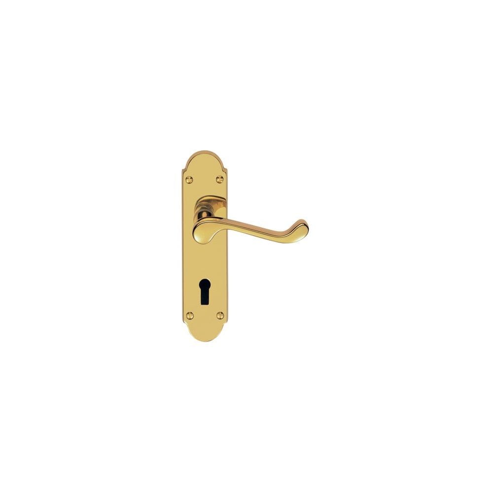 Carlisle Brass Polished Brass Lock Standard Boxed Oakley Lever on Backplate DL168