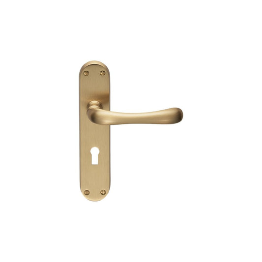 Carlisle Brass Satin Brass Lock Profile Ibra Lever on Backplate Range 185mmx42mm EL11SB