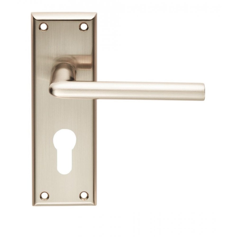 Carlisle Brass Satin Nickel Euro Profile Dieci Lever on Backplate SZR011YSN