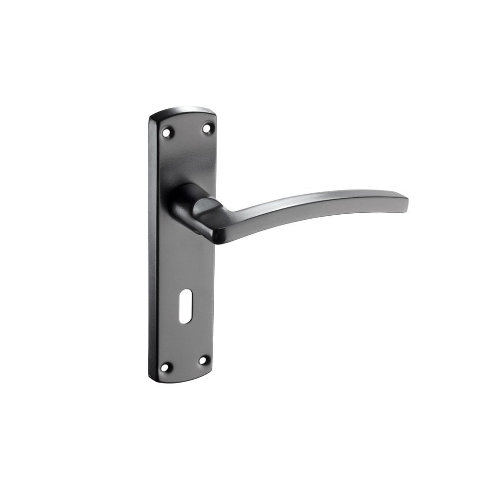 D2F ACCESSORIES Black Curved lever on lock plate N2613B