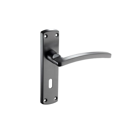 D2F ACCESSORIES Black Curved lever on lock plate N2613B