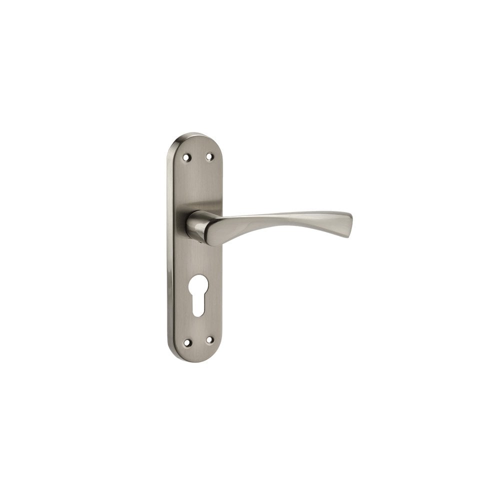 D2F ACCESSORIES Lever on Euro profile Plate K2215SA