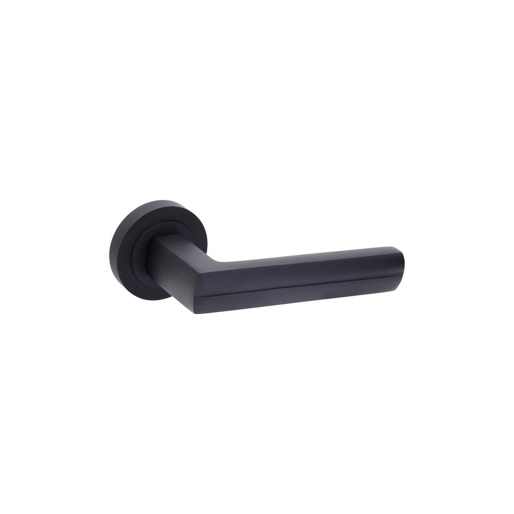 D2F ACCESSORIES Matte Black Door Handles on Rose Handle D2810BL
