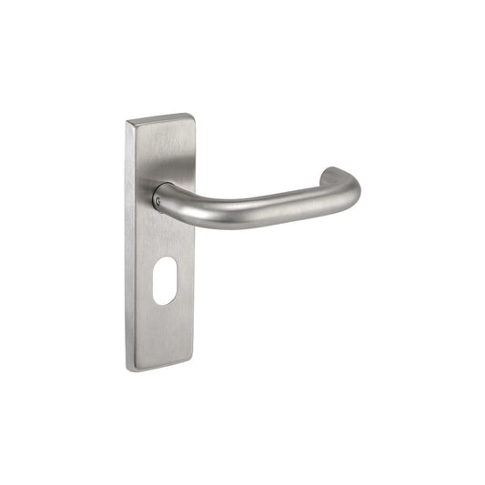 D2F ACCESSORIES Satin Stainless Steel Door Handles on Backplate With Oval Profile Keyhole J121542