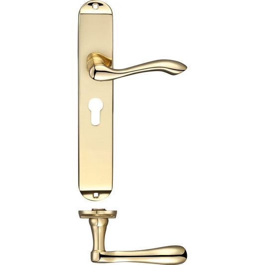 Zoo Hardware Arundel Polished Brass Lever Euro Lock Long Plate 245 x 42 x 47.5mm FB031EP