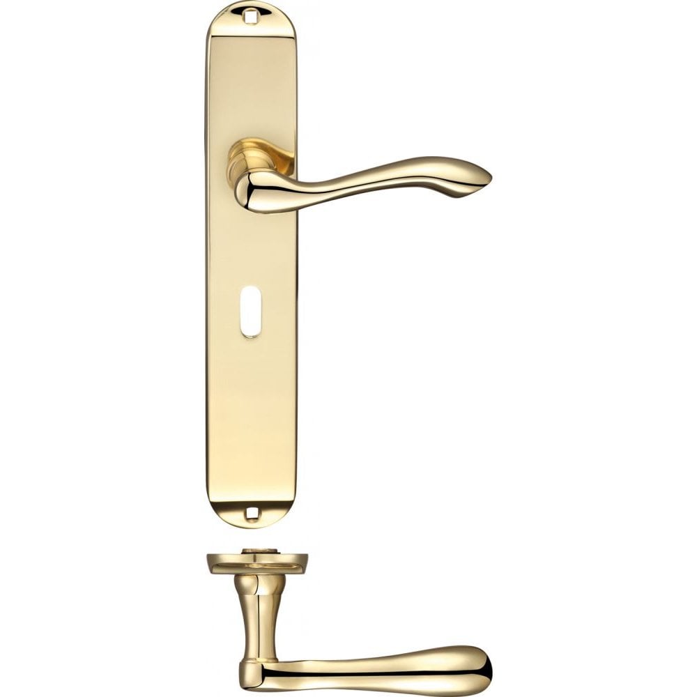 Zoo Hardware Arundel Polished Brass Lever Lock Long Plate 245 x 42 x 57mm FB031