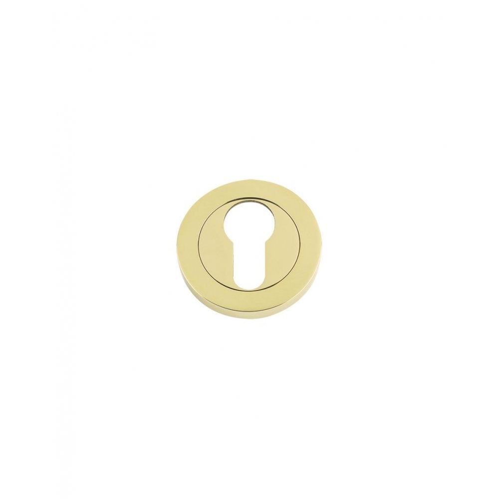 Zoo Hardware Euro Profile Escutcheon Brass Finish / Anti Tarnish 50 x 8mm FB001PVD