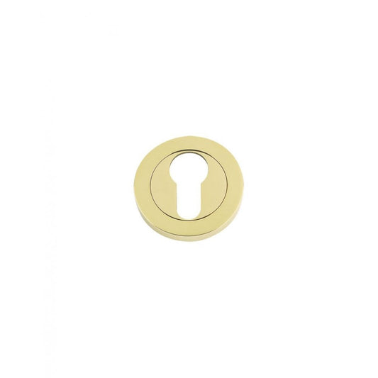 Zoo Hardware Euro Profile Escutcheon Brass Finish / Anti Tarnish 50 x 8mm FB001PVD