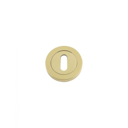 Zoo Hardware Standard Key Profile Polished Brass 50 x 8mm FB002PB